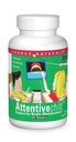 Fuente Naturals Attentive Niño - Nutrientes cognitivos saludables para niños activos - Enfoque mejorado " Atención con DMAE, Magnesio, Zinc " Grape Seed Extract - 60 Tablets