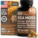 Atlantic Naturals Sea Moss Capsules – Irish Sea Moss with Black Seed Oil, Ashwagandha, Moringa, Ginseng & Ginger for Energy, Vitality & Wellness – Suplemento Nutricional – Hecho en EE.UU. – 60 cápsulas