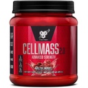 BSN CELLMASS 2.0 Post Workout Recovery with BCAA, Creatine, " Glutamine - Keto Friendly - Arctic Berry, (25 Servings) (1048058)