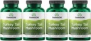 Swanson Turkey Tail Mushroom - Suplemento Herbal Promoción del Sistema Inmunitario " Salud Celular - Fórmula Natural Promoción de la Función del Hígado " Defensa - (120 cápsulas, 500 mg) 4 Pack