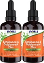 AHORA Suplementos, Echinacea & Goldenseal Plus con Dropper, Immune System Support*, 2-Ounce (Pack of 2)