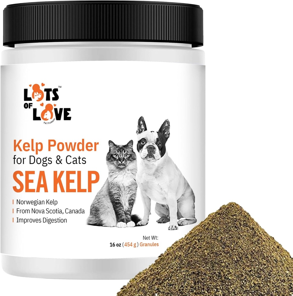 Kelp Powder para Perro & Cat - Orgánica Sea Kelp Suplemento Granulos Powder (16 Oz, 1 Libra)