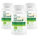 DAO Suplementos Histamine Blocker – DAO Enzyme + Diamine Oxidase " Quercetin, Immortelle, Vitamina C para Gut Health and Food Support 180 Capsules