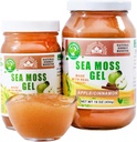 Wildcrafted Irish Sea Moss Gel ← Hecho en EE.UU. viv Sea Moss Gel Raw ← Suplemento Nutricional Silencioso Apple (16 oz)