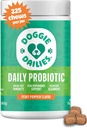 Probióticos para perros - Probióticos para perros avanzados con prebióticos - promueve la salud digestiva - apoya el sistema inmunitario y la salud general (Pumpkin) 225 Chews blandos