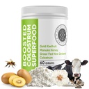 Intestinal Fortitude Boosted Colostrum Superfood Dietary Suplemento: Grass-Fed New Zealand Bovine Colostrum, Gold Kiwifruit, Manuka Honey, for Digestion, Immune System, and Gut Health (150 Grams)