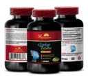 brain and memory booster - GINKGO BILOBA 24% EXTRACT 120MG - gingko biloba tablets, brain and memory booster, brain support, memory focus supplement, brain boost, gingko biloba tablets - 1B 60 Caps