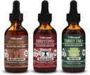 VIDA CYKEL AM Soporte energético, Soporte de sistema inmunitario, Skin & Nails Health- 100% Organic Mushrooms- Cordyceps Turquía Tail " Shiitake w/ Kakadu Plum, Made in the US, Non-GMO - 3 ct(2oz cada uno)