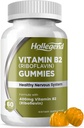Vitamina B2 Gummies Riboflavin 400mg, B2 Suplemento de Chewable Vitamina, Vegan, No GMO, Orange Flavor, 60 Cuenta