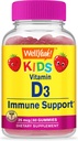 WellSí Niños Vitamina D3 Gummies - 1000 UI (25 mcg)- Soportes Fortaleza ósea e inmunidad - No Gluten-Free - Sabor de frambuesa - Suplemento nutricional - 60 Servimientos