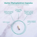Vegan Life Nutrition - Marine Phytoplankton Capsules - Suplemento dietético libre de gluten, vegano y no transgénico con Alfa 3 CMP para apoyar la salud celular, la energía, la vitalidad - 30 cápsulas