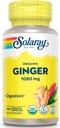 SOLARAY Ginger orgánico 1080 mg - Suplementos de jengibre orgánico - Alivia Nausea y Vomiting asociados con la enfermedad de la moción, apoya la salud conjunta - Vegan, no somnoliento, garantía de 60 días, 50 servicios