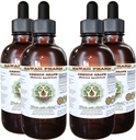 Hawaii Pharm Oregon Grape Extracto líquido libre de alcohol, Oregon Grape (Mahonia acufolium) Raído seco Glicite Natural Herbal Suplemento, EE.UU. 4x4 fl.oz