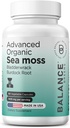 Moss orgánica del mar irlandés, Bladderwrack & Burdock Suplemento 1405mg, 60 Veg Capsules - Immune Booster, Gut Health, Skin Detox & Joint Support (60 Count (Pack of 1))