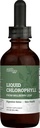 Clorofila líquida, gotas líquidas para soporte de sistema inmuno, desodorante interno natural - gotas de clorofila con glicerina orgánica - Clorofila Liquida, Clorophyllin Detox Cleanse (1 mL)