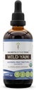 Secrets of the Tribe Wild Yam Alcohol-Free USDA Organic Tincture (Glycerite) Reponsibly farmed Wild Yam (coreDiosa Villosa) Dried Root (4 Fl Oz)