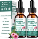 Lymphatic Drainage Drops-Vegan 11-in-1 Lymphatic Drainage Suplementos-Lymph System Support with Echinacea,Cleavers,Elderberry-Detox Cleanse-Non-GMO -2 fl oz-60 Servings-2 Pack
