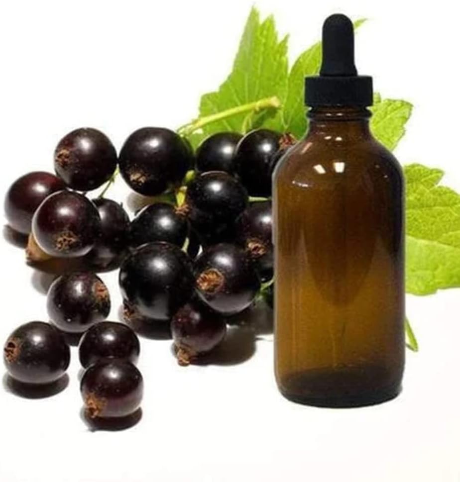 Negro Currant Semilla aceite 1oz Botella de gotero de vidrio