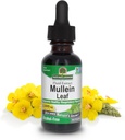 Respuesta de la naturaleza Mullein Herb - Mullein Leaf Extract for Lungs - Alcohol Free, Non GMO, Made in USA - Supports Respiratory Function & Promotes Healthy Lungs - Mullein Leaf 1 Extracto de onza