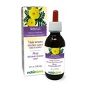 Naturalma Tribulus (Tribulus terrestris) Fruit Alcohol-Free Tincture - 4 fl oz Liquid Extract in Drops - Herbal Supplement - Vegan