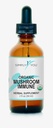 Organic Mushroom Apoyo a la Defensa de la Inmunidad Silenciosa Sistema Integral de Inmunidad Suplemento 2fl oz/59ml Gotas con Absorción Máxima " Bioavailability TEN Vegan, Herbal 525mg por Serving ● 2 Meses
