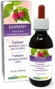 Naturalma Raspberry (Rubus idaeus) Leaf Alcohol-Free Tintura - 4 fl oz Liquid Extract in Drops - Herbal Supplement - Vegan