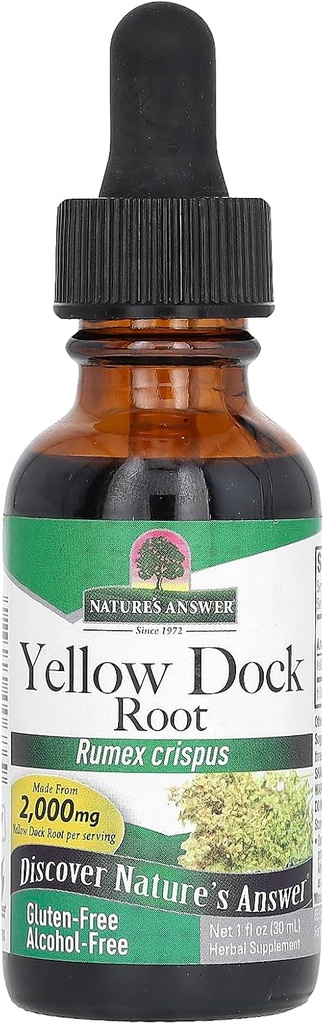 [BRSWIY35AIIBWGA7] Respuesta de la naturaleza Yellowdock Root, 1-Ounce