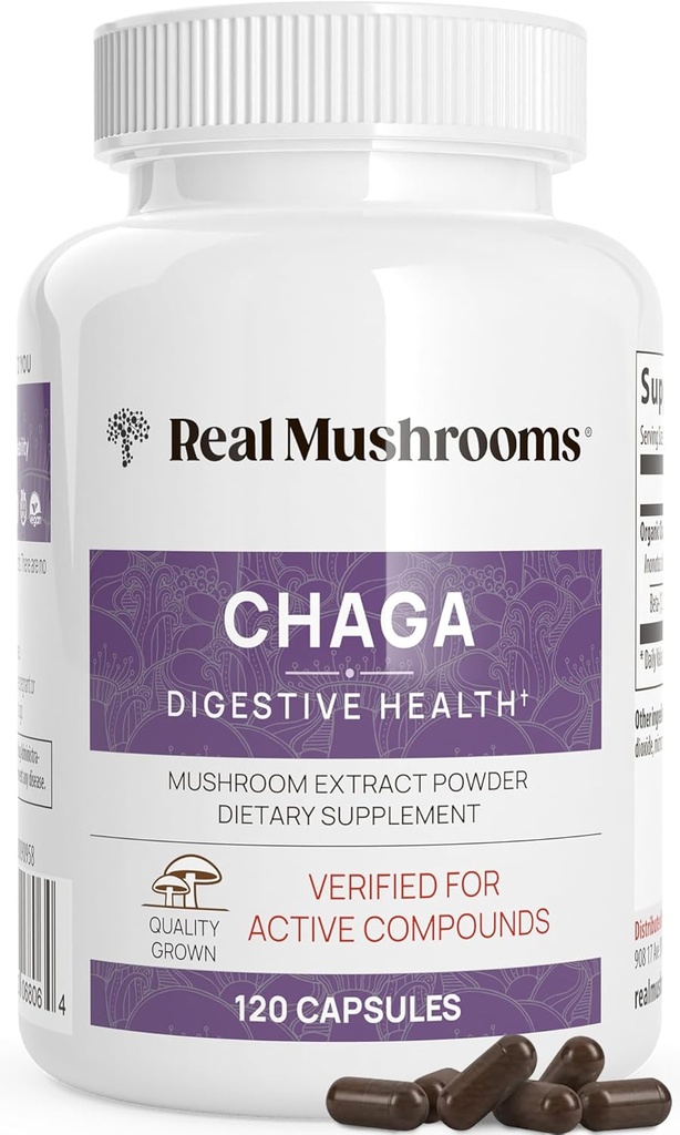 Setas reales Chaga Mushroom Capsules – Polvo Extracto de Chaga Orgánica con Polvo Extracto para Wellness & Energy Support– Vegan, Non-GMO, 120 cápsulas – Suplemento de Mushroom Orgánico