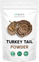 Turquía Tail Mushroom Powder 8 oz - Suplemento natural de hongos, Contiene PSP y PSK, Mascotas