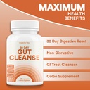 30 días Gut Cleanse Detox ← Avanzado Fiber Colon Cleanse to Ease Bowel Movement w/Psyllium Husk " Flaxseed  durable Reset, Weight Flush " Gut Detox