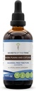Secretos de la Tribu Muira Puama y Catuaba Tintura Extracto libre de alcohol, gotas herbales de alta potencia, Tintura Hecha de Muira Puama y Catuaba Ptychopetalum Olacoides 4 oz