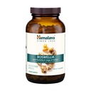 Himalaya Boswellia, Soporte Conjunto para Movilidad y Flexibilidad, promueve la conservación de tejidos, 250 mg, 240 cápsulas