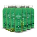 Chlorophyll Water – Liquid Chlorophyll 12-Pack (16.9oz) ← Vitamina A, B12, C, D ← Detox Cleanse, Alkaline Water, Energy Boost TEN Vitamin Water TEN Plant-Based TEN Clean Label Project ANTE Hydration Support