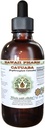 Extracto líquido libre de alcohol en Catuaba (Erythroxylum Catuaba) Dried Bark Glycerite Hawaii Pharm Natural Herbal Suplemento 2 oz