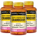MASON NATURAL Cranberry Altamente Concentrado 900 mg, 3 Mes de Suministro, Antioxidante &amp; Salud Inmunitaria, Asistencia Tract urinario saludable, 3 Pack