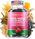 Mar Moss 4000mg Gummies with Ashwagandha, Elderberry, Apple Cider Vinegar, Bladderwrack, Burdock Root – Immune Support – Mixed Berry Flavor – 60 Conde