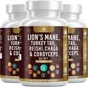 Mushroom Suplemento con Lion's Mane Turkey Tail Reishi Cordyceps Chaga Marshmallow Root - 180 Conde