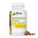 Jiva Botanicals Boswellia Extract Capsules 700mg per Serving - Boswellia Serrata Extract Supplement & Black Pepper - Joint Support Supplement for Normal Joint Health - 120 Capsules (Pack of 1)