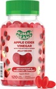 Manzana Cider Vinegar Jelly Bean Gummies con la madre y el jengibre, Suplementos dietéticos vegetarianos para hombres y mujeres, Asistencia sanitaria digestiva, 120 Manzana Blast Jelly Beans, Kosher