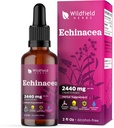 Extracto de Echinacea Líquida - Echinacea Root Drops Tintura 2440mg (Echinacea purpurea) Suplemento Herbal Absorbs Better Than Capsules, 1 Month Supply, 84 Servimientos, Sin alcohol - 2 Oz, Pack de 1