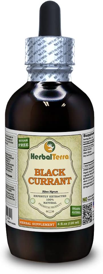 Currante Negro (Ribes nigrum) Tintura, hojas secas Extracto líquido (Marca: HerbalTerra, Proudly Made in USA) 4 fl.oz (120 ml)
