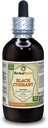 Currante Negro (Ribes nigrum) Tintura, hojas secas Extracto líquido (Marca: HerbalTerra, Proudly Made in USA) 4 fl.oz (120 ml)