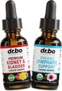 Vejiga de riñón " Lymphatic Suplementos de drenaje gotas - Suplementos de la vejiga ecológica gotas & linfático Soporte Liquidación líquido - Renal Cleanse Detox Urinary Tract Lymph System