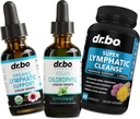 Chlorophyll Liquid Drops Body Detox " Lymphatic Píldoras de drenaje - Clorofila Vegan Suplemento de limpieza Desodorante interno - Apoyo linfático orgánico Liquid Drops Limph Node Drainage