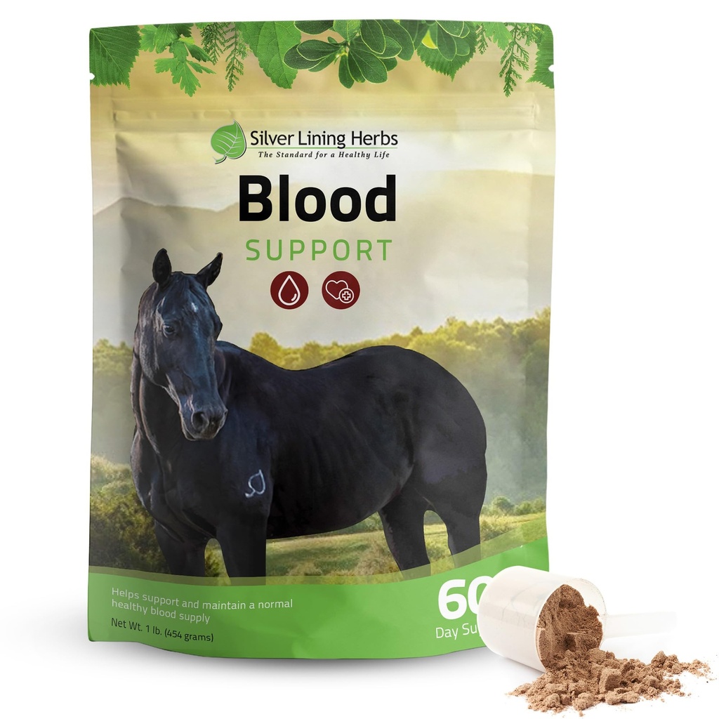 Silver Lining Herbs Blood Support Supplement Powder for Horses - Natural Herbal Horse Care Circulation Supplements Support Normal Equine Red & White Blood Cell Levels - 1 lb Bag