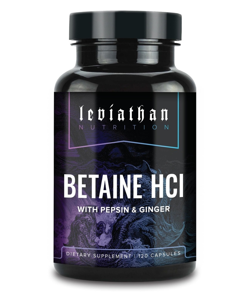 Leviathan Betaine HCl con Pepsin &amp; Ginger - Enzymes Digestivos Suplemento para la ayuda de la digestión " Apoyo, ácido estomacal " Absorción de nutrientes
