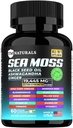 Moss de mar con aceite de semilla negra, vitamina C, Ashwagandha y Turmeric para soporte inmunitario & energía - 60 cápsulas veganos + caja de píldoras gratis