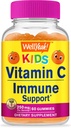 WellSí Niños Vitamina C Gummies (250mg) - 60 Gummies