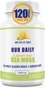 Nuestros Vites diarios de mar orgánico Moss 1500 MG 120 Ct Wildcrafted Irish Sea Moss Bladderwrack y Burdock Root Capsules Wildcrafted Vegan y Seamoss Superfood Suplemento