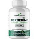 Suplemento Puro de Berberina - 1300mg Berberina con canela de Ceylán para Metabolismo &amp; Sistema Inmunitario - 60 Servimientos